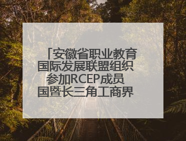 安徽省职业教育国际发展联盟组织参加RCEP成员国暨长三角工商界青年对话会