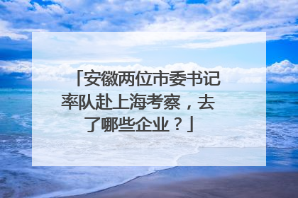 安徽两位市委书记率队赴上海考察，去了哪些企业？