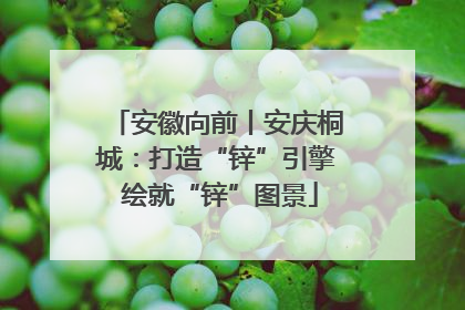 安徽向前丨安庆桐城：打造“锌”引擎 绘就“锌”图景