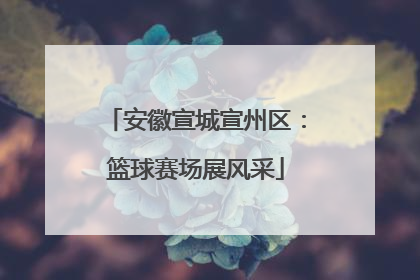 安徽宣城宣州区：篮球赛场展风采