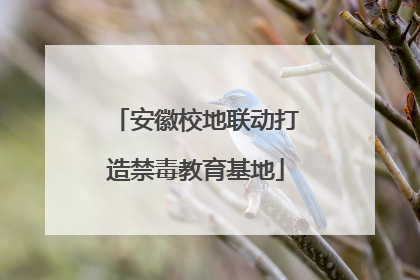 安徽校地联动打造禁毒教育基地