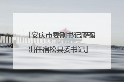 安庆市委副书记廖强出任宿松县委书记