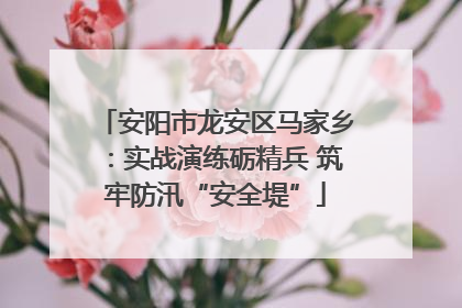 安阳市龙安区马家乡：实战演练砺精兵 筑牢防汛“安全堤”