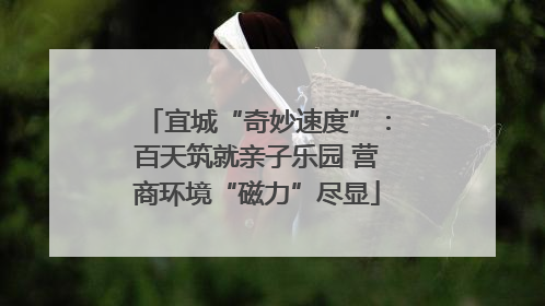 宜城“奇妙速度”：百天筑就亲子乐园 营商环境“磁力”尽显