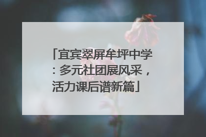 宜宾翠屏牟坪中学：多元社团展风采，活力课后谱新篇