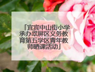 宜宾中山街小学承办翠屏区义务教育第五学区青年教师晒课活动