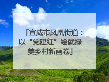 宣威市凤凰街道：以“党建红”绘就绿美乡村新画卷