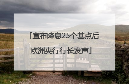 宣布降息25个基点后 欧洲央行行长发声