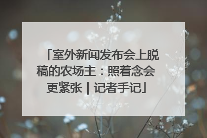 室外新闻发布会上脱稿的农场主：照着念会更紧张｜记者手记
