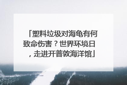 塑料垃圾对海龟有何致命伤害？世界环境日，走进开普敦海洋馆