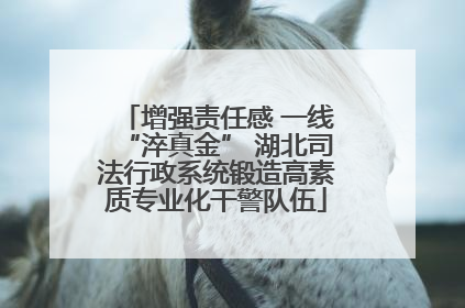 增强责任感 一线“淬真金” 湖北司法行政系统锻造高素质专业化干警队伍
