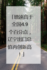 增速高于全国4.9个百分点，辽宁出口总值再创新高！
