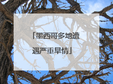 墨西哥多地遭遇严重旱情