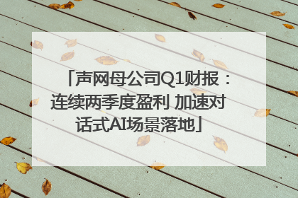 声网母公司Q1财报：连续两季度盈利 加速对话式AI场景落地