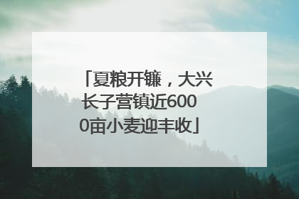 夏粮开镰，大兴长子营镇近6000亩小麦迎丰收