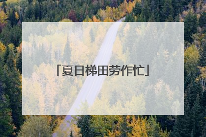 夏日梯田劳作忙