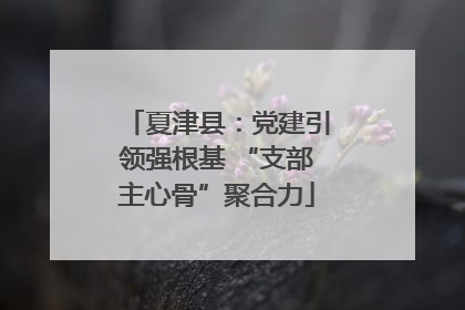 夏津县：党建引领强根基 “支部主心骨”聚合力
