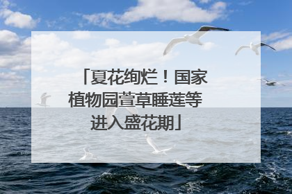 夏花绚烂！国家植物园萱草睡莲等进入盛花期