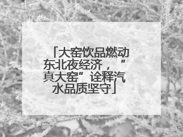 大窑饮品燃动东北夜经济，“真大窑”诠释汽水品质坚守