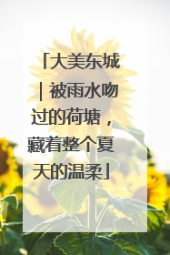 大美东城｜被雨水吻过的荷塘，藏着整个夏天的温柔