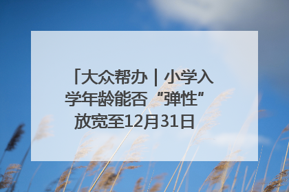 大众帮办｜小学入学年龄能否“弹性”放宽至12月31日？有地方已在探索