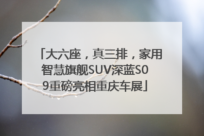 大六座，真三排，家用智慧旗舰SUV深蓝S09重磅亮相重庆车展