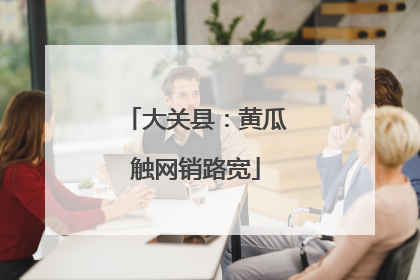 大关县：黄瓜触网销路宽