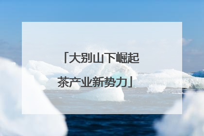 大别山下崛起茶产业新势力