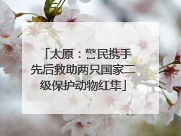 太原：警民携手 先后救助两只国家二级保护动物红隼