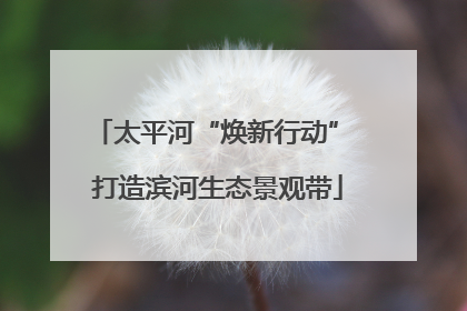 太平河“焕新行动” 打造滨河生态景观带