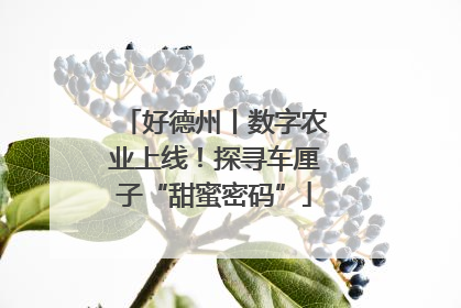 好德州丨数字农业上线！探寻车厘子“甜蜜密码”