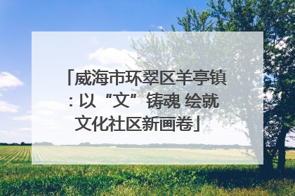 威海市环翠区羊亭镇：以“文”铸魂 绘就文化社区新画卷