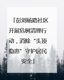 彭刘杨路社区开展危树清理行动，消除“头顶隐患”守护居民安全