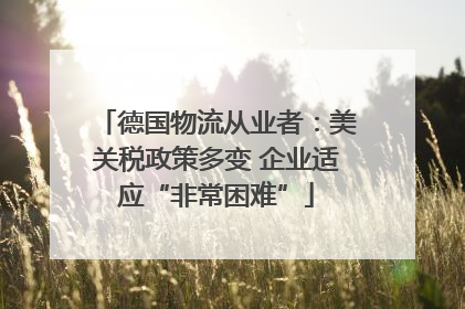 德国物流从业者：美关税政策多变 企业适应“非常困难”