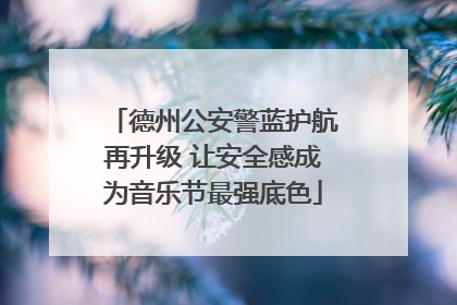 德州公安警蓝护航再升级 让安全感成为音乐节最强底色