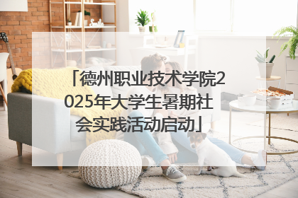 德州职业技术学院2025年大学生暑期社会实践活动启动
