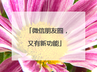 微信朋友圈，又有新功能