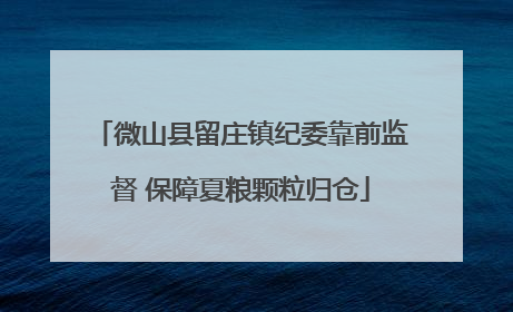 微山县留庄镇纪委靠前监督 保障夏粮颗粒归仓