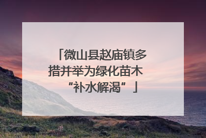 微山县赵庙镇多措并举为绿化苗木“补水解渴”