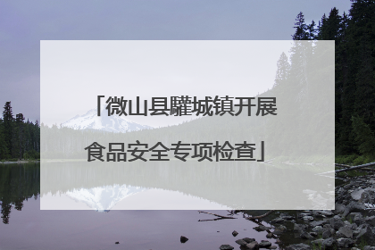 微山县驩城镇开展食品安全专项检查