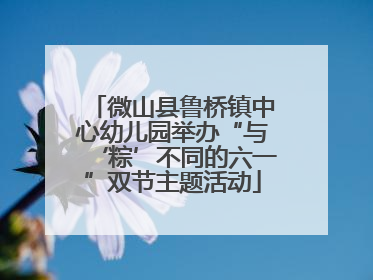 微山县鲁桥镇中心幼儿园举办“与‘粽’不同的六一”双节主题活动