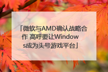 微软与AMD确认战略合作 高呼要让Windows成为头号游戏平台