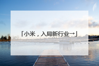 小米，入局新行业→