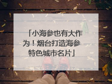 小海参也有大作为！烟台打造海参特色城市名片