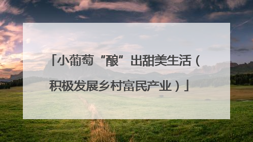 小葡萄“酿”出甜美生活（积极发展乡村富民产业）