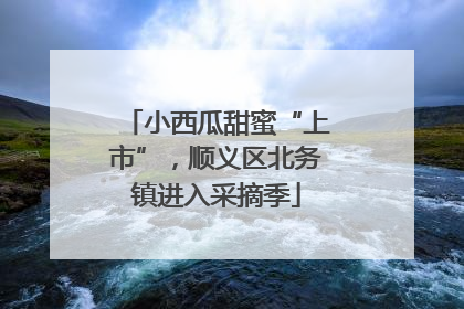 小西瓜甜蜜“上市”，顺义区北务镇进入采摘季