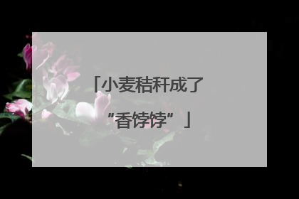 小麦秸秆成了“香饽饽”