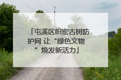 屯溪区织密古树防护网 让“绿色文物”焕发新活力