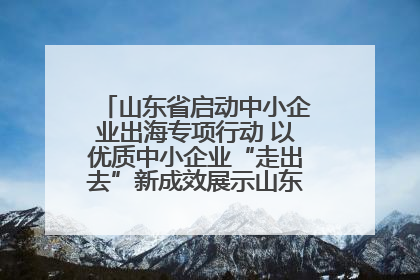 山东省启动中小企业出海专项行动 以优质中小企业“走出去”新成效展示山东产业发展新形象