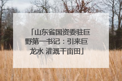 山东省国资委驻巨野第一书记：引来巨龙水 灌溉千亩田